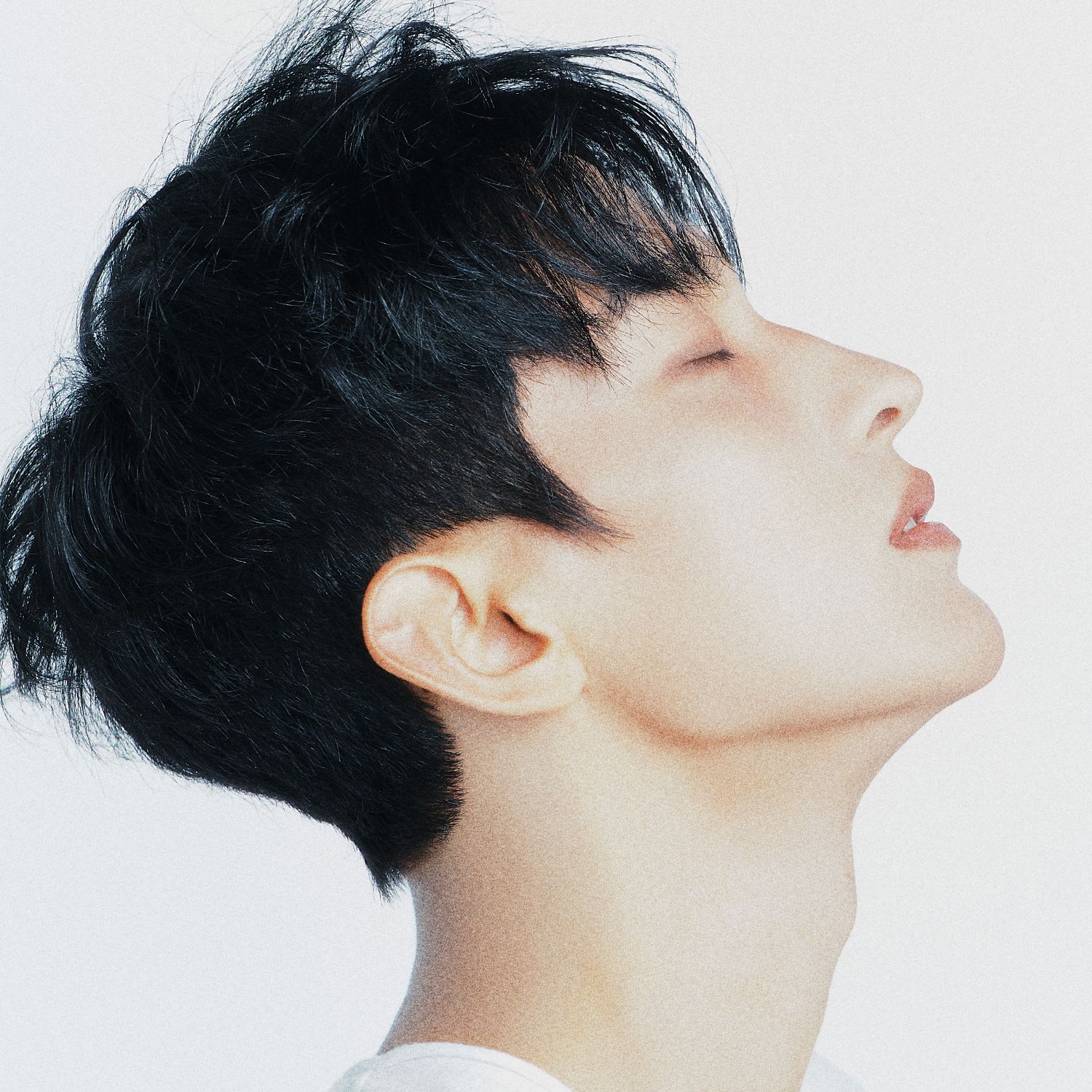 Momen yang diabadikan oleh penggemar SEVENTEEN