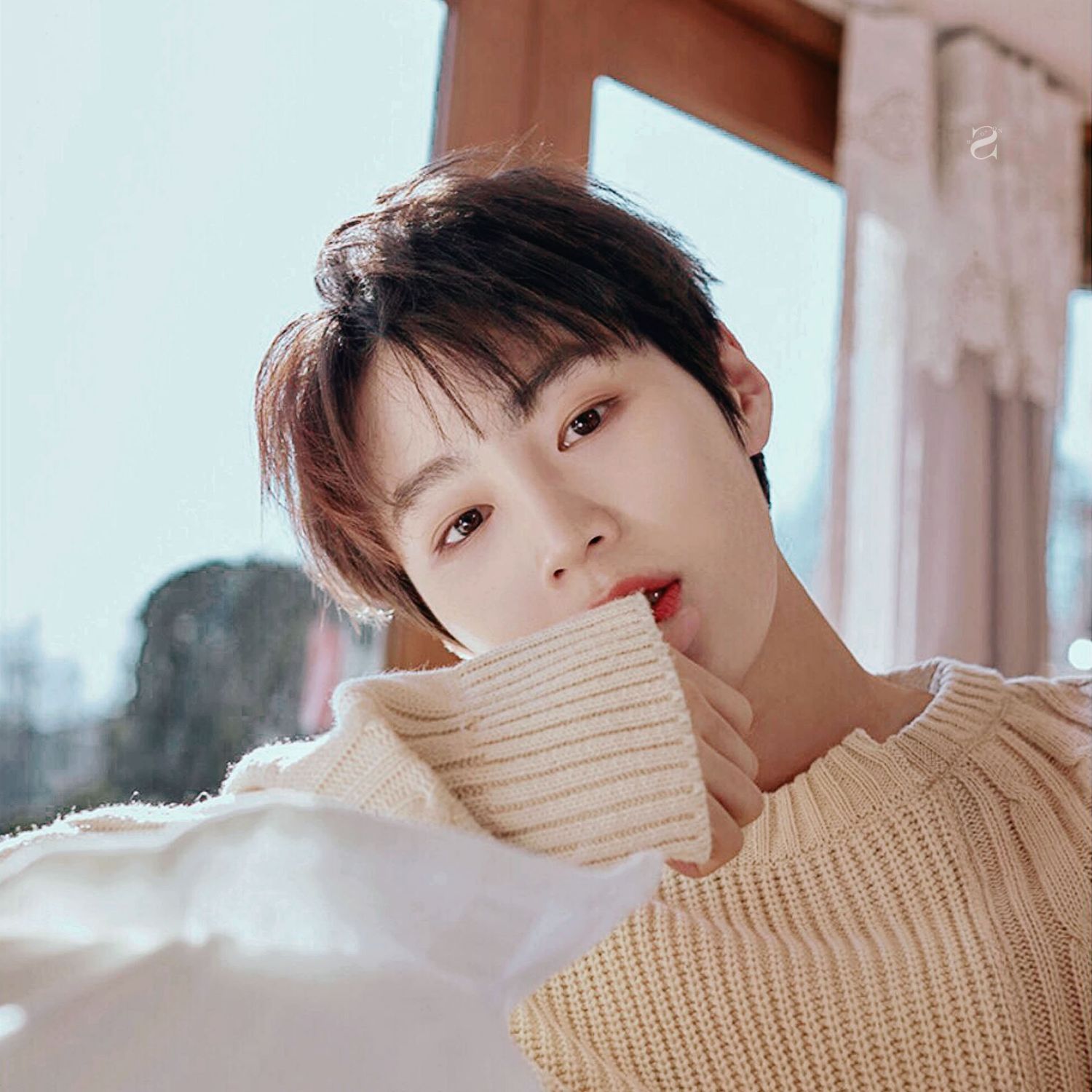 Latest photo of Ha Sungwoon