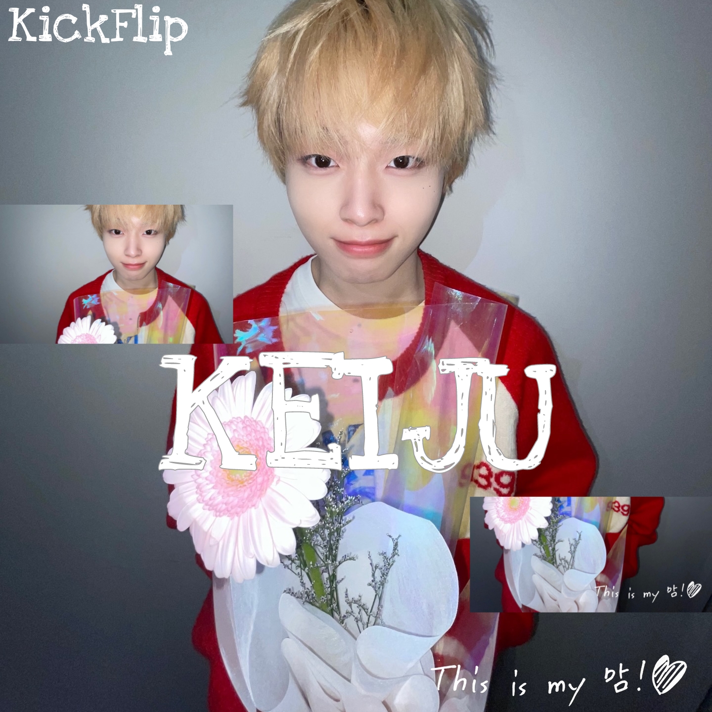 A moment captured by Keiju (KickFlip)'s fan