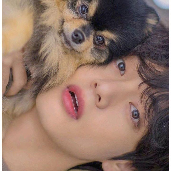 Behind-the-scenes cut of V (BTS)