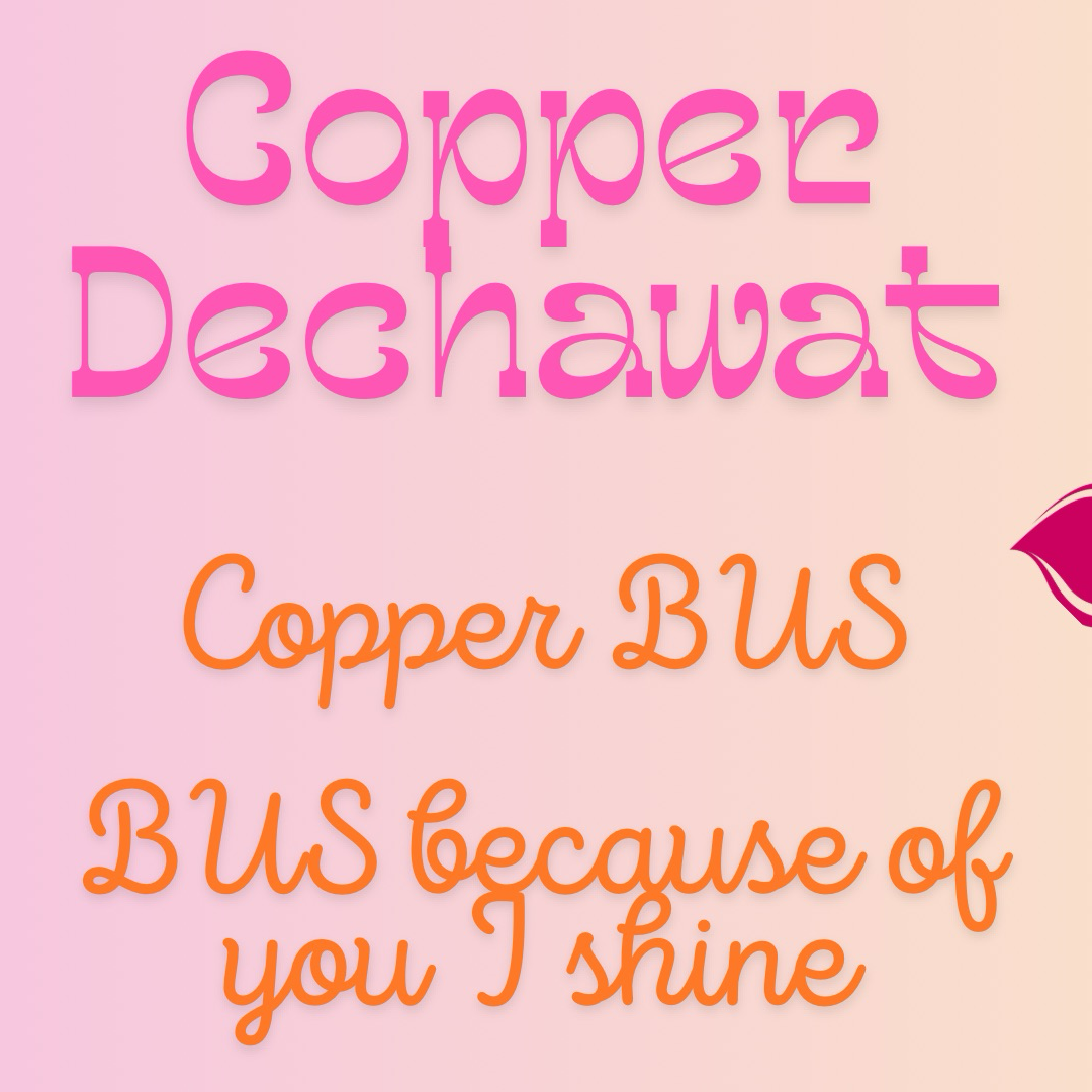 A moment captured by Copper (BUS)'s fan