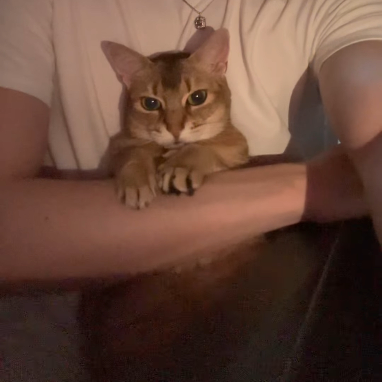 강다니엘 팬이 찍은 순간