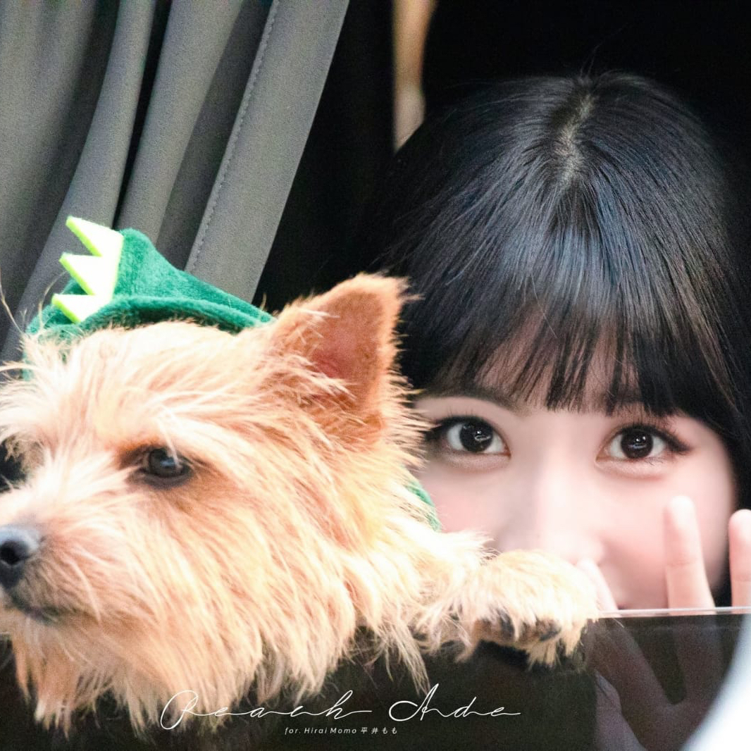 Momo (TWICE)粉丝拍下的瞬间
