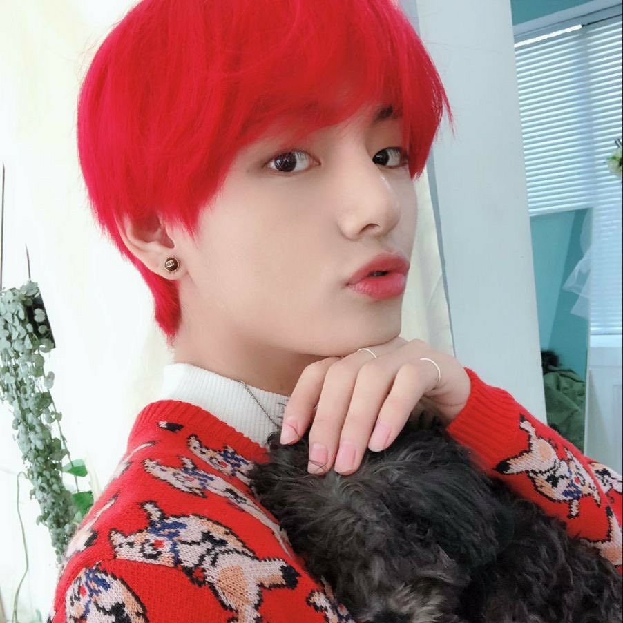 뷔 (방탄소년단) 팬이 찍은 순간