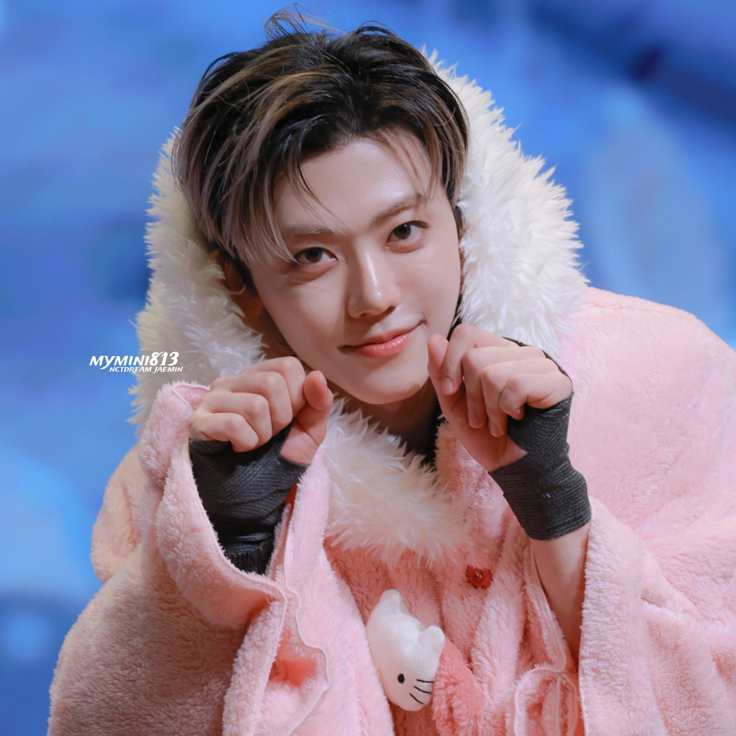재민 (NCT DREAM) 팬이 찍은 순간