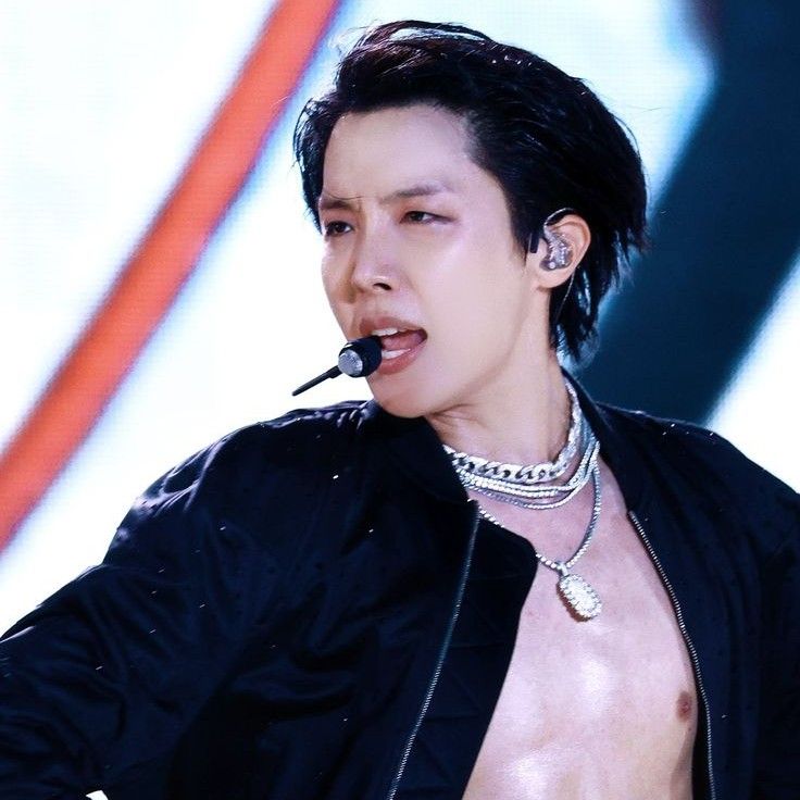 제이홉 (방탄소년단) 팬이 찍은 순간