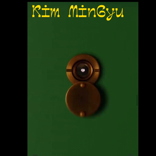 A moment captured by Mingyu (SEVENTEEN)'s fan