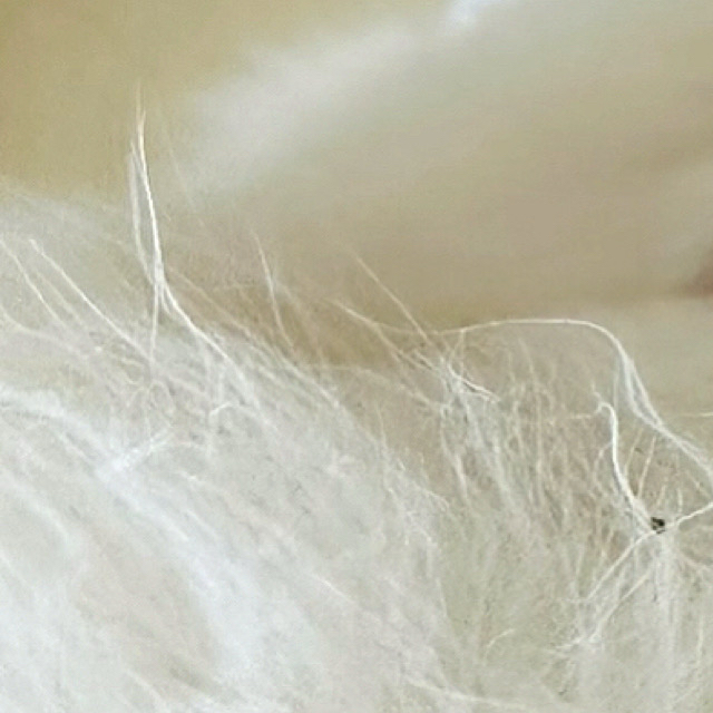 Latest photo of Ravn