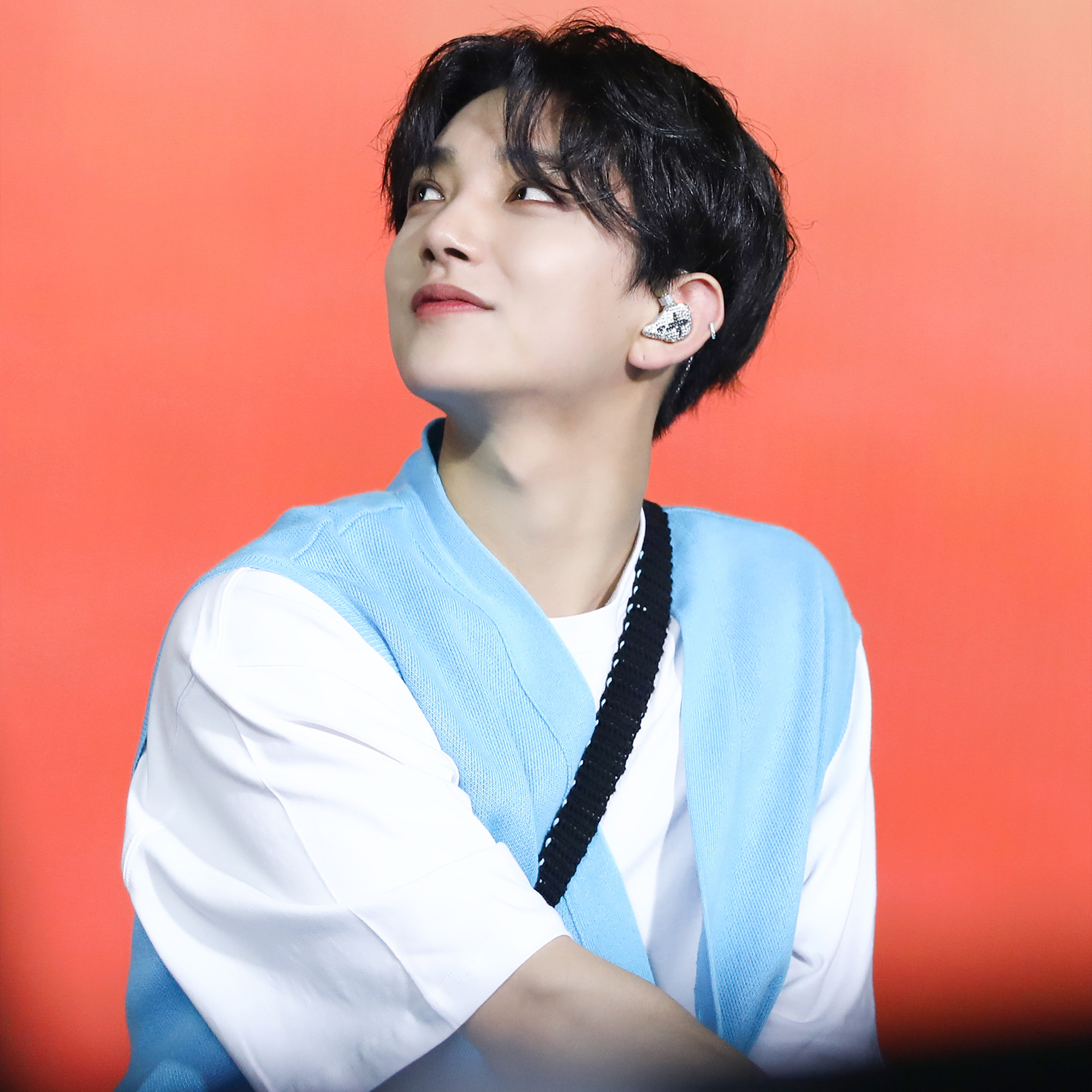 세븐틴 팬이 찍은 순간