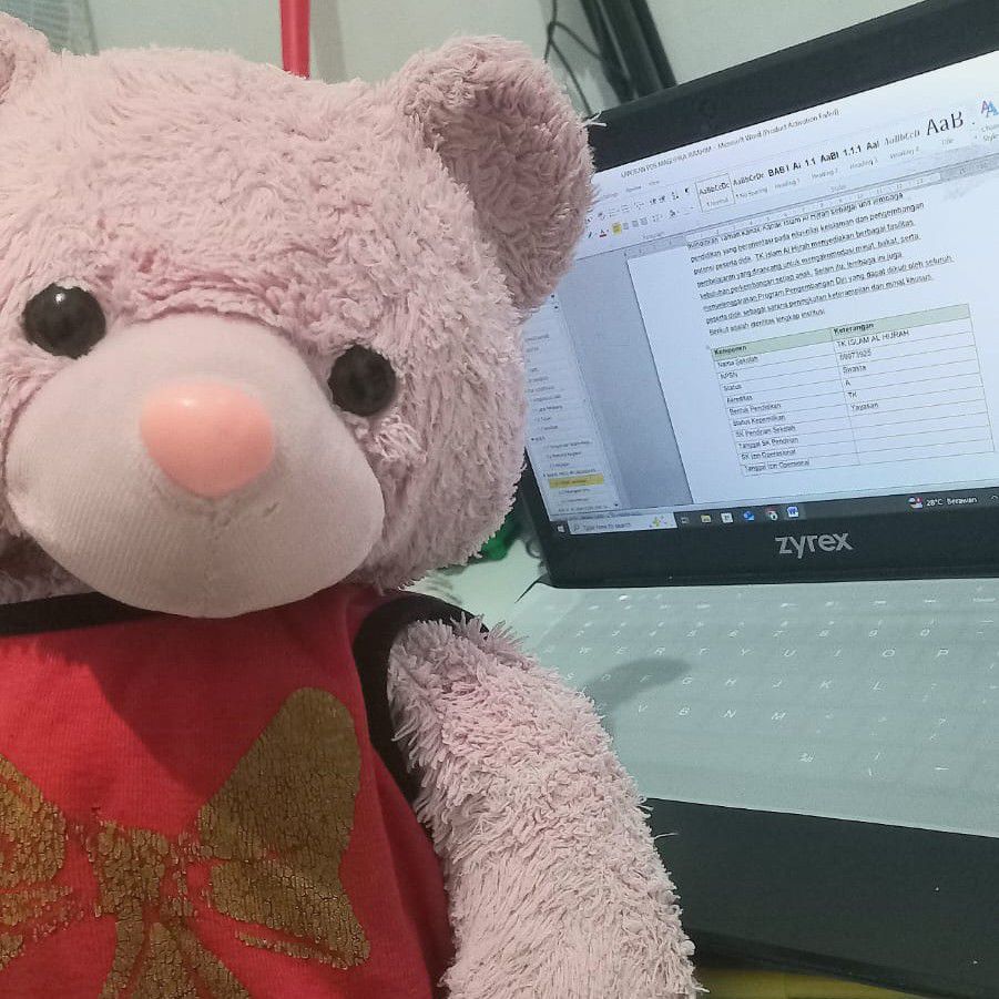 Potret di balik layar EXO