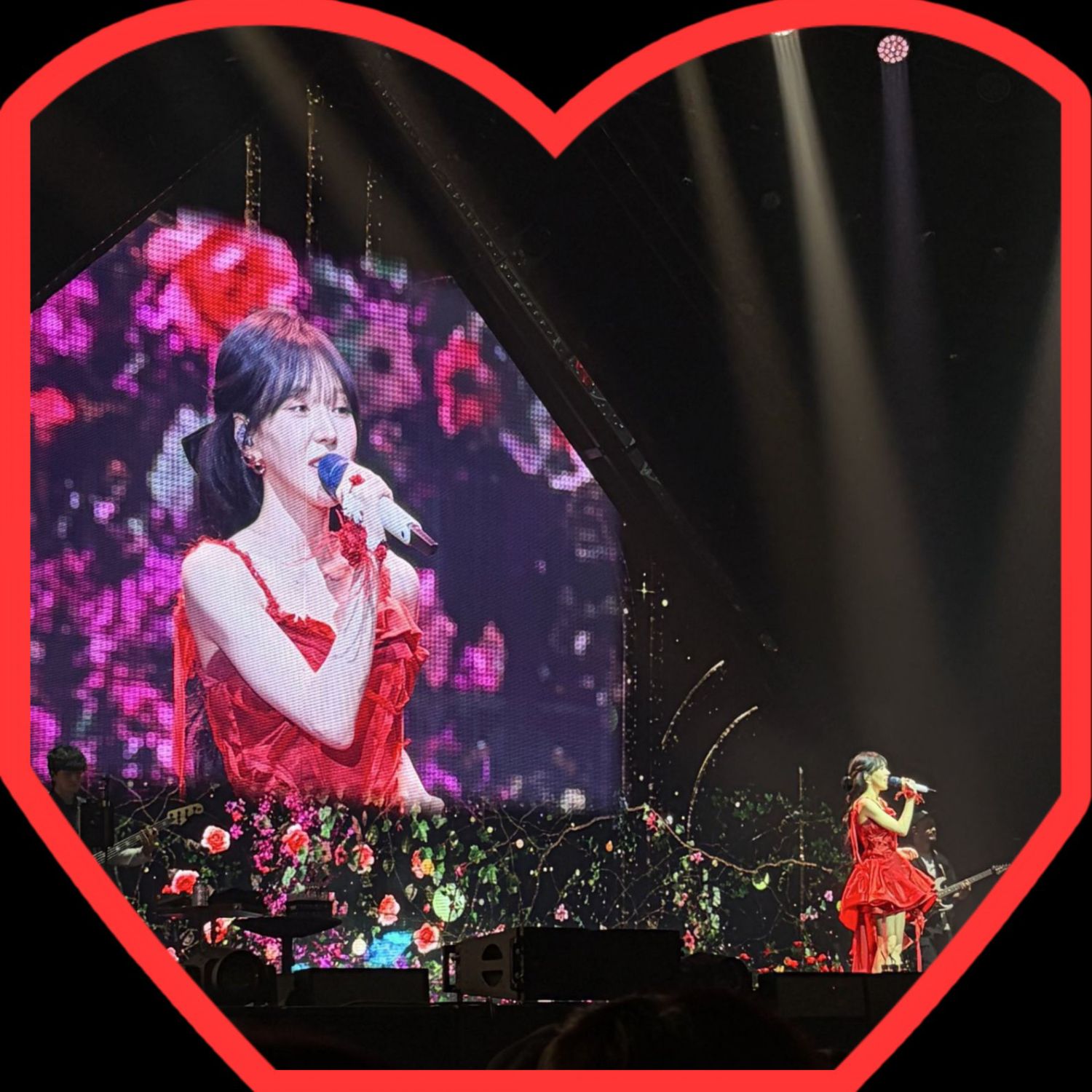 Wendy (Red Velvet)粉絲拍下的瞬間