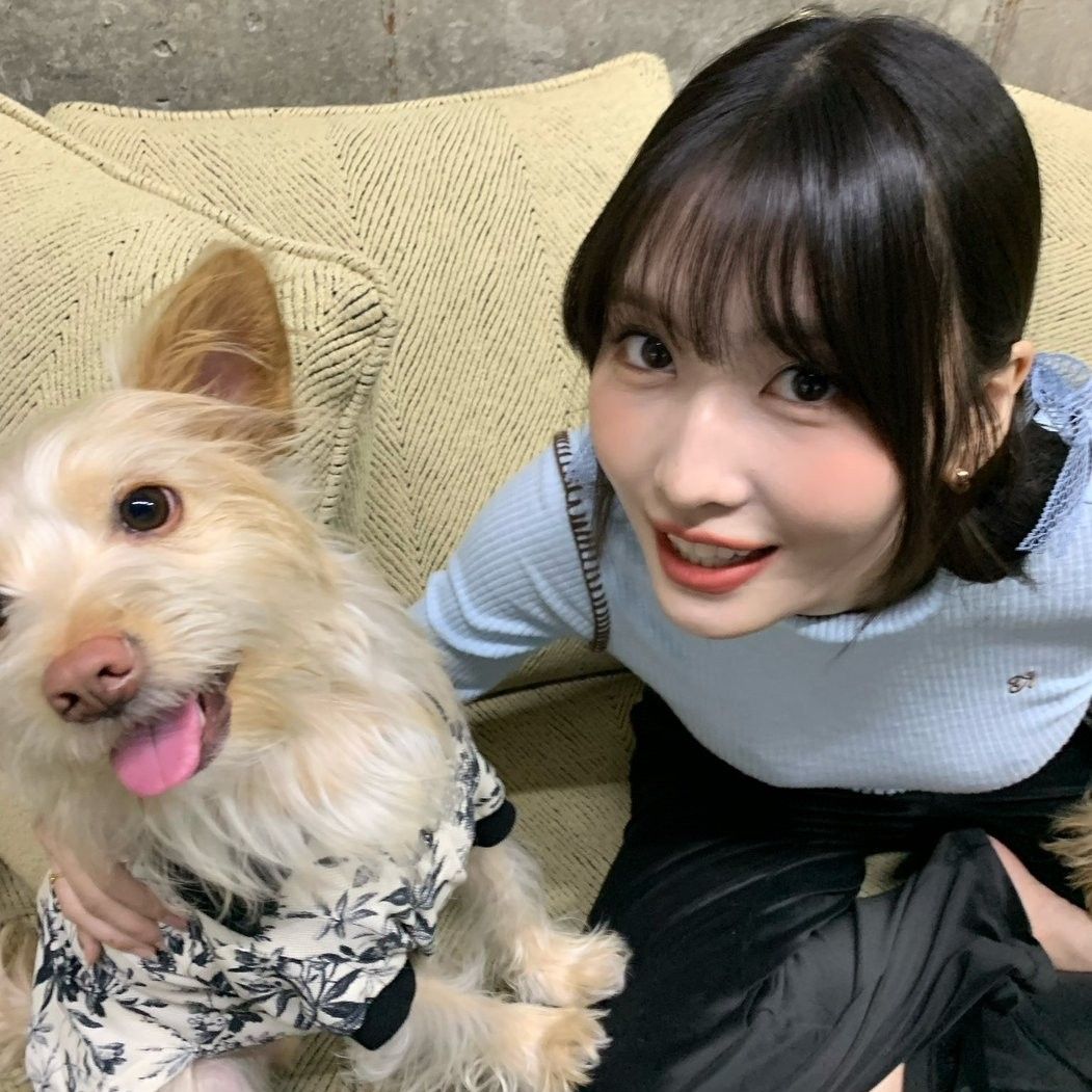 Latest photo of Momo (TWICE)