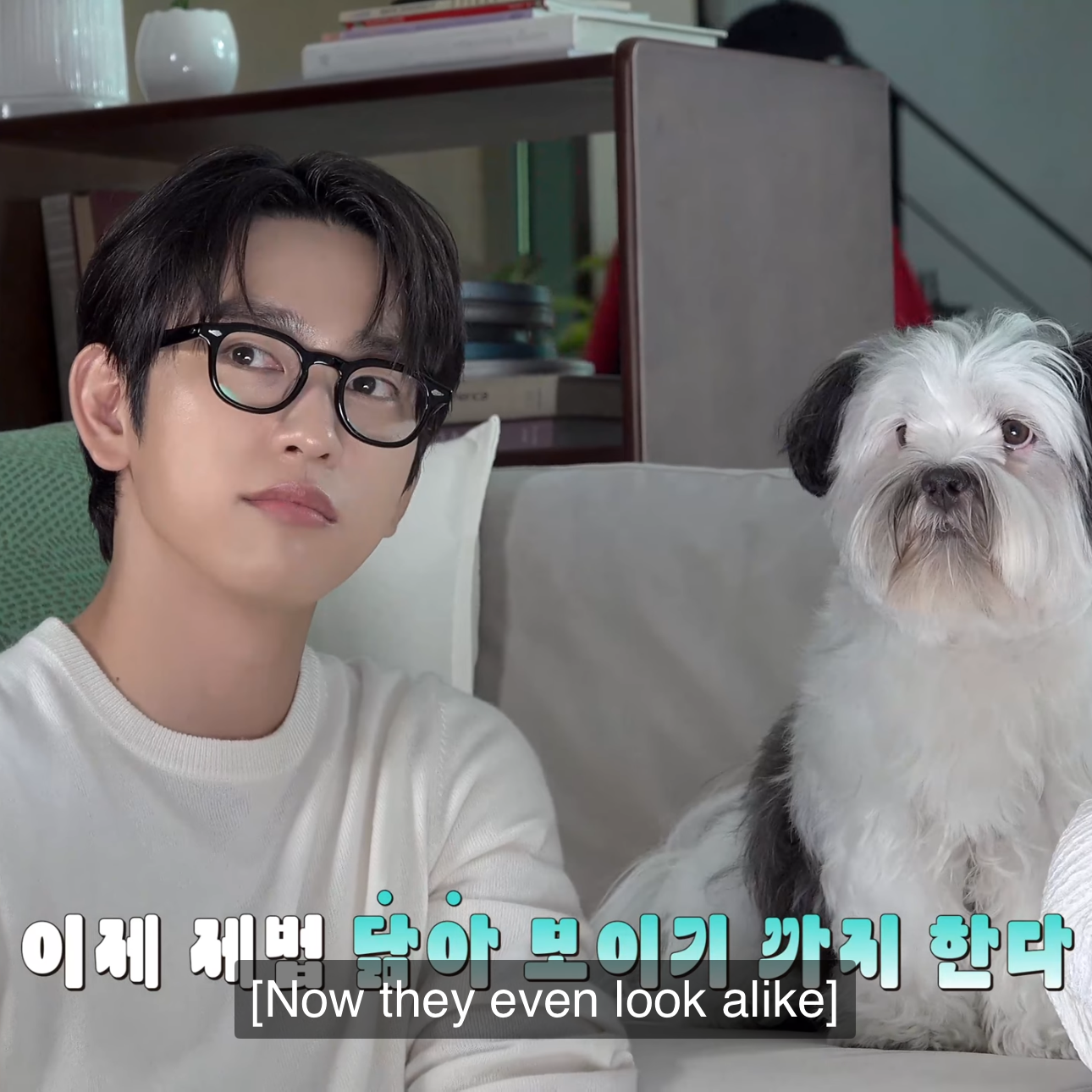 GOT7 팬이 찍은 순간