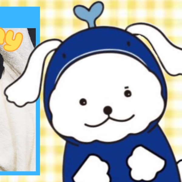 ファンに愛されるK-POPの人気投稿