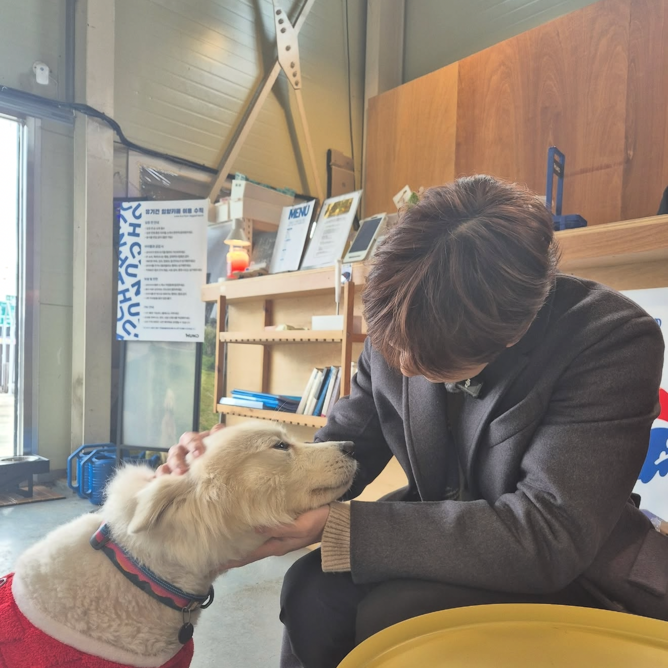 강다니엘 팬이 찍은 순간