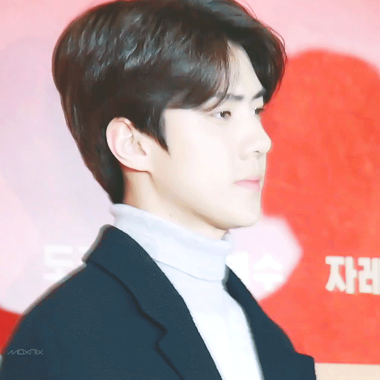 Recent activity shot of Sehun (EXO)