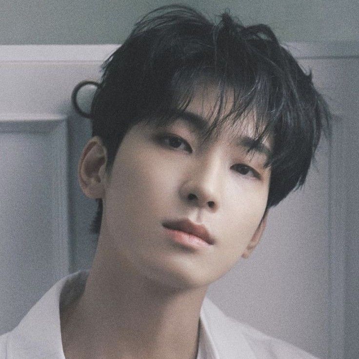 圓佑 (SEVENTEEN)的最新照片