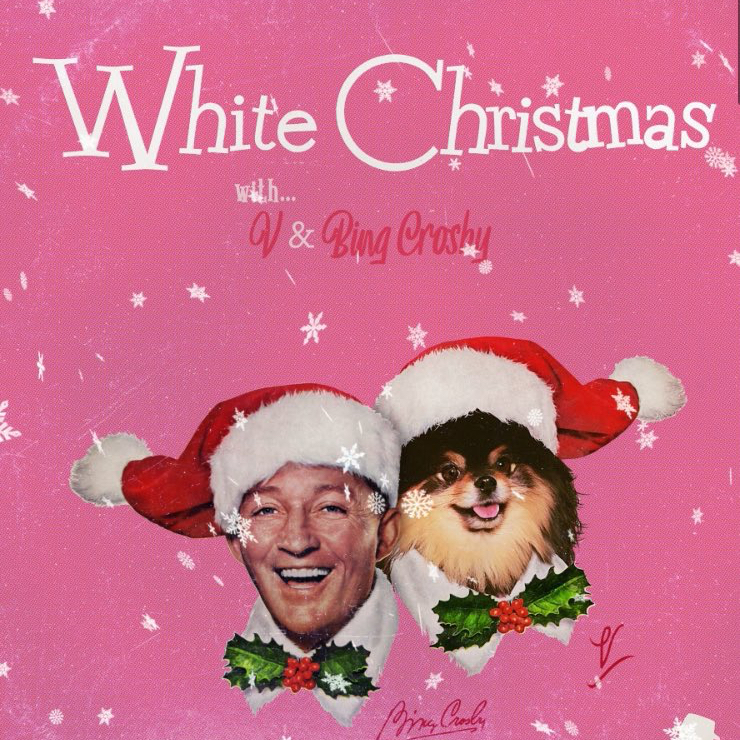 V (防彈少年團)的幕後花絮