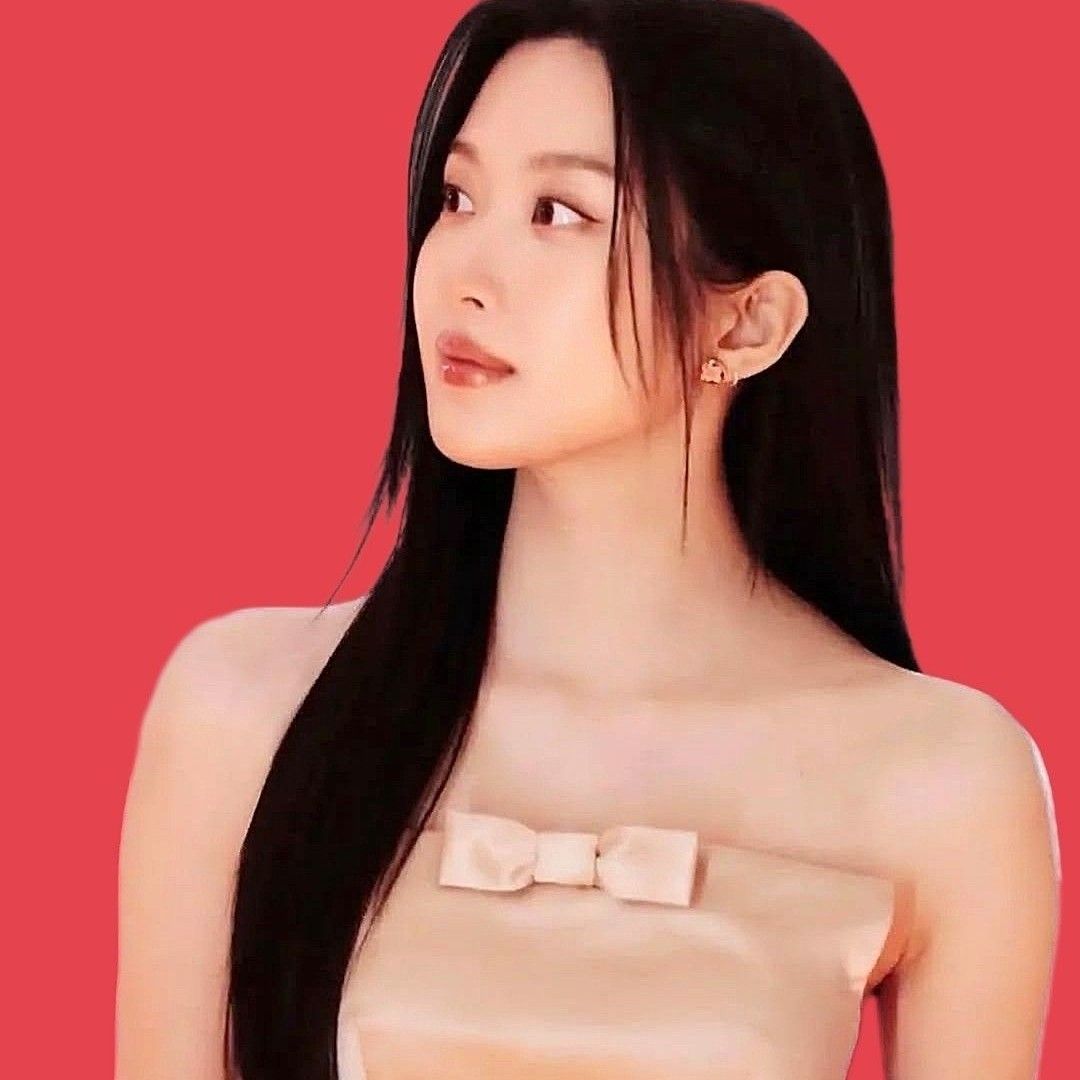 BLACKPINK粉絲拍下的瞬間