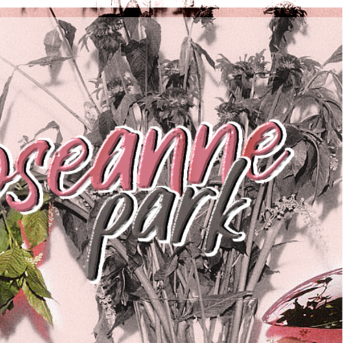 ROSÉ (BLACKPINK)的幕後花絮