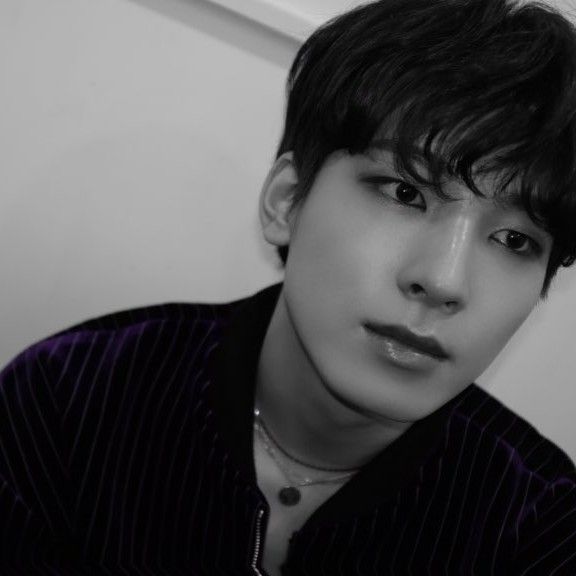 A moment captured by Wonwoo (SEVENTEEN)'s fan