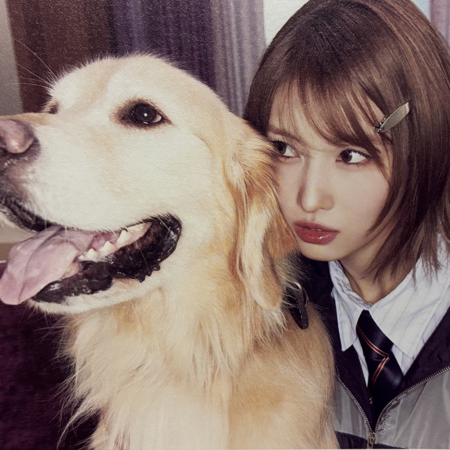 Recent activity shot of Momo (TWICE)