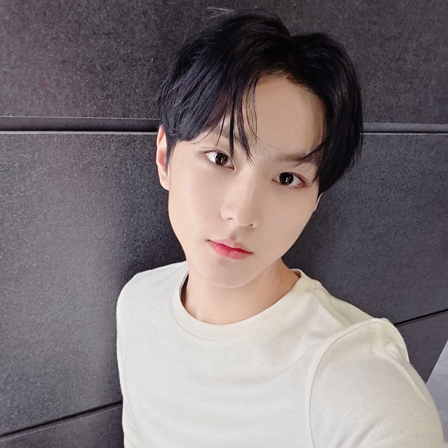 ENHYPEN 팬이 찍은 순간
