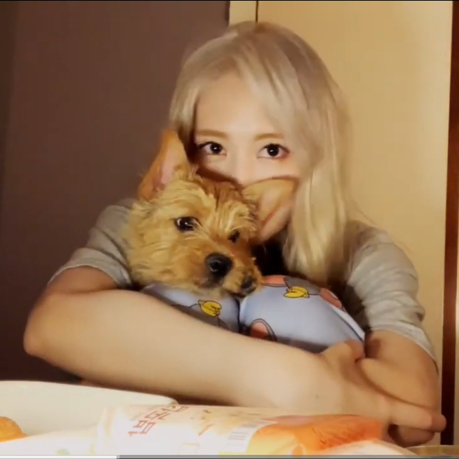 Momen yang diabadikan oleh penggemar Momo (TWICE)