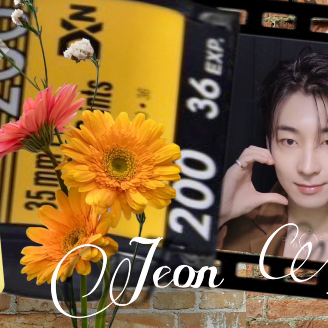 원우 (세븐틴) 팬이 찍은 순간