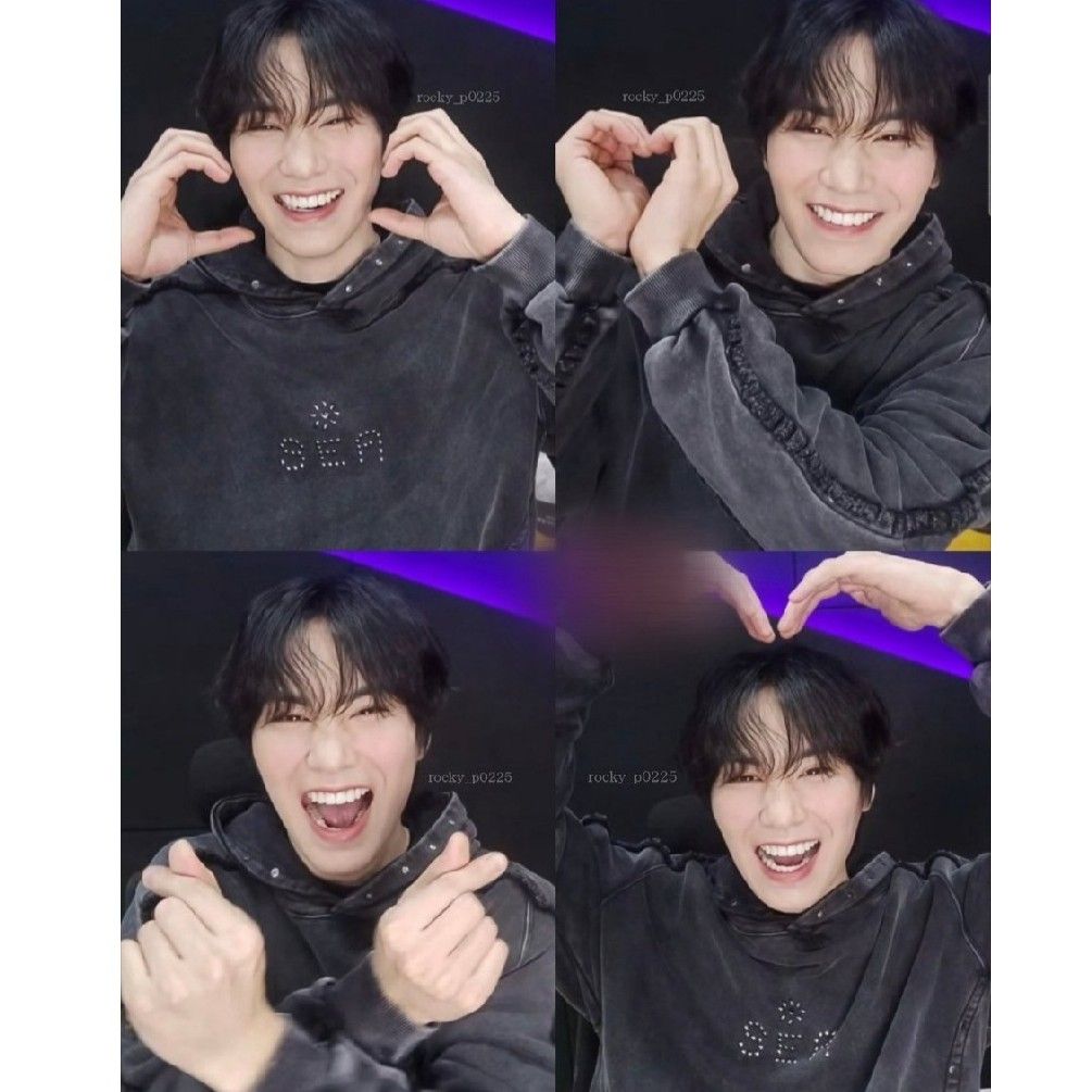 Recent activity shot of Rocky