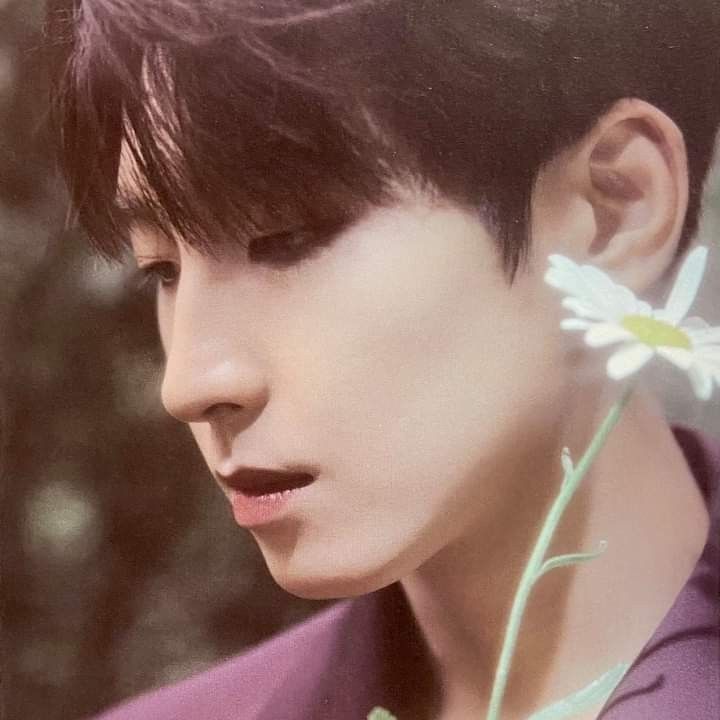 A moment captured by Wonwoo (SEVENTEEN)'s fan