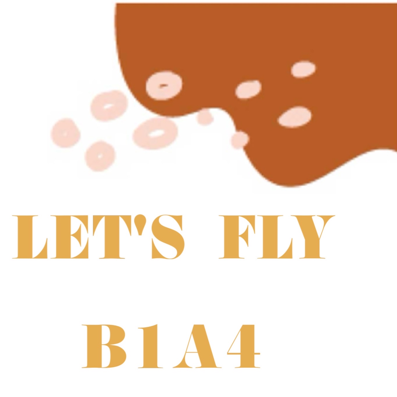 Recent activity shot of B1A4