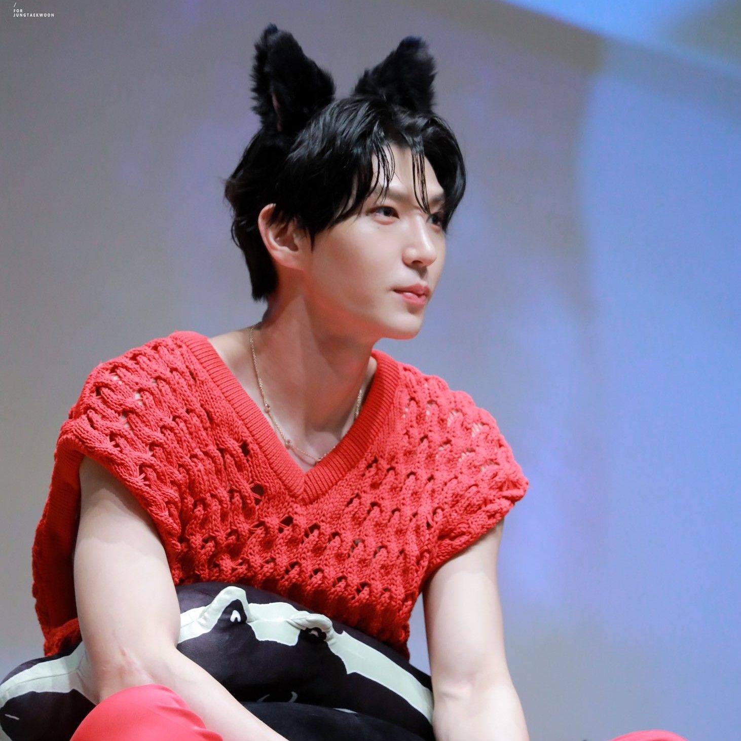 Recent activity shot of VIXX