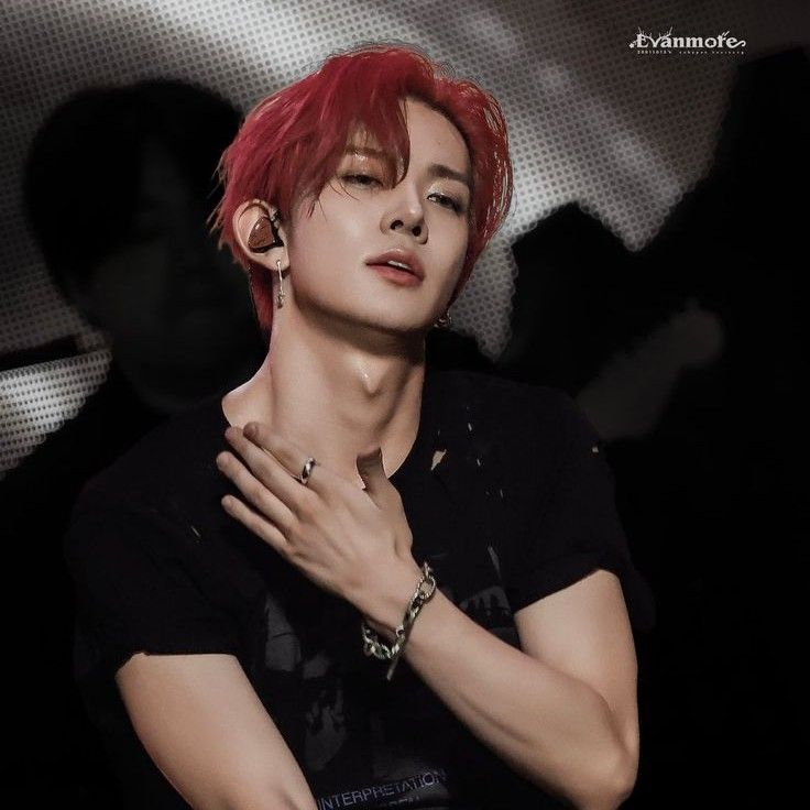 ENHYPEN 팬이 찍은 순간