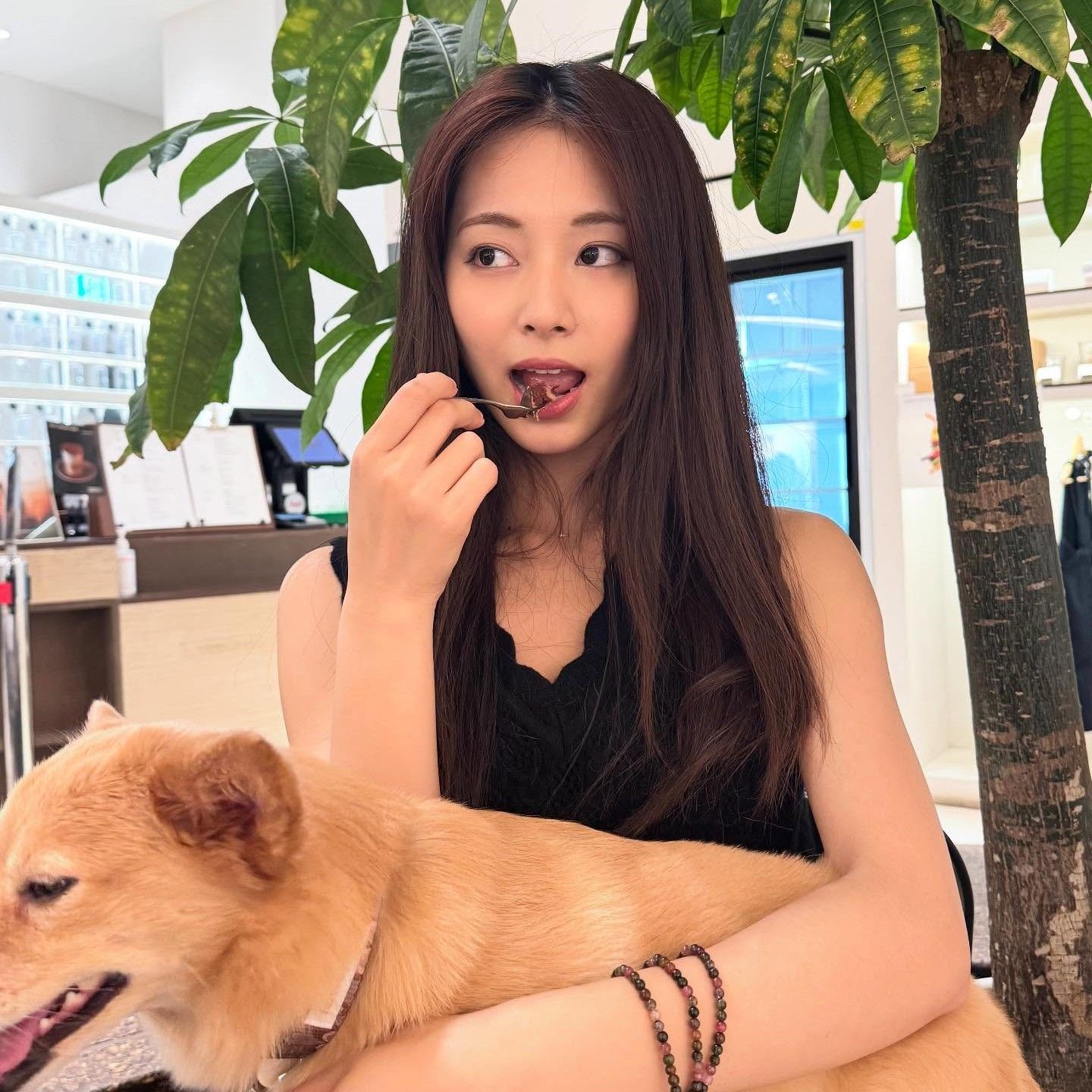 Latest photo of TWICE