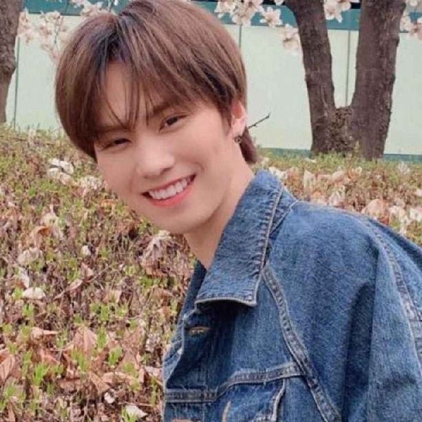 Recent activity shot of Rocky