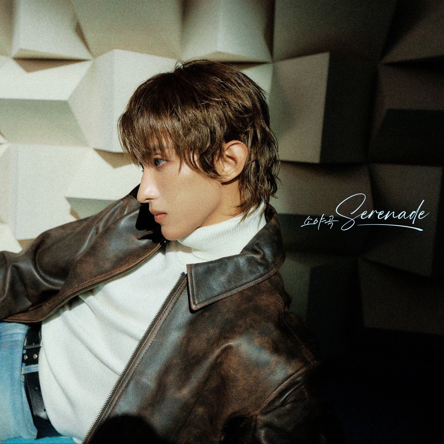 A moment captured by DK (SEVENTEEN)'s fan