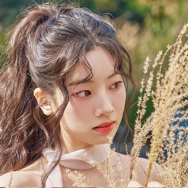 多賢 (TWICE)粉絲拍下的瞬間