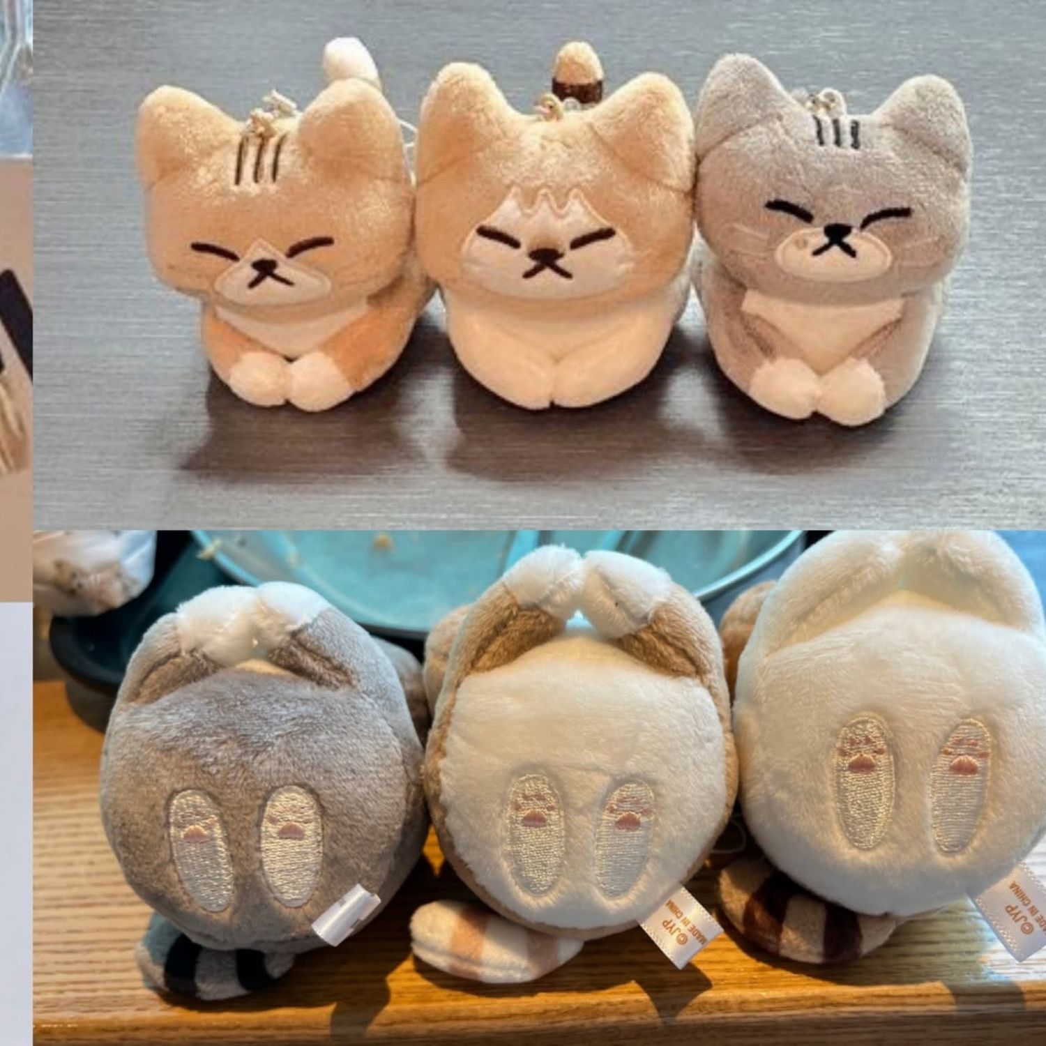 Stray Kids 팬이 찍은 순간