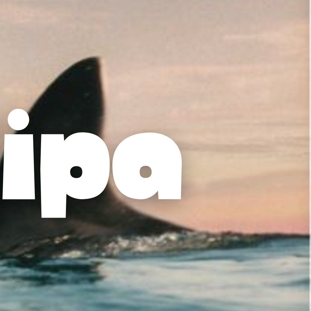 Latest photo of Dua Lipa