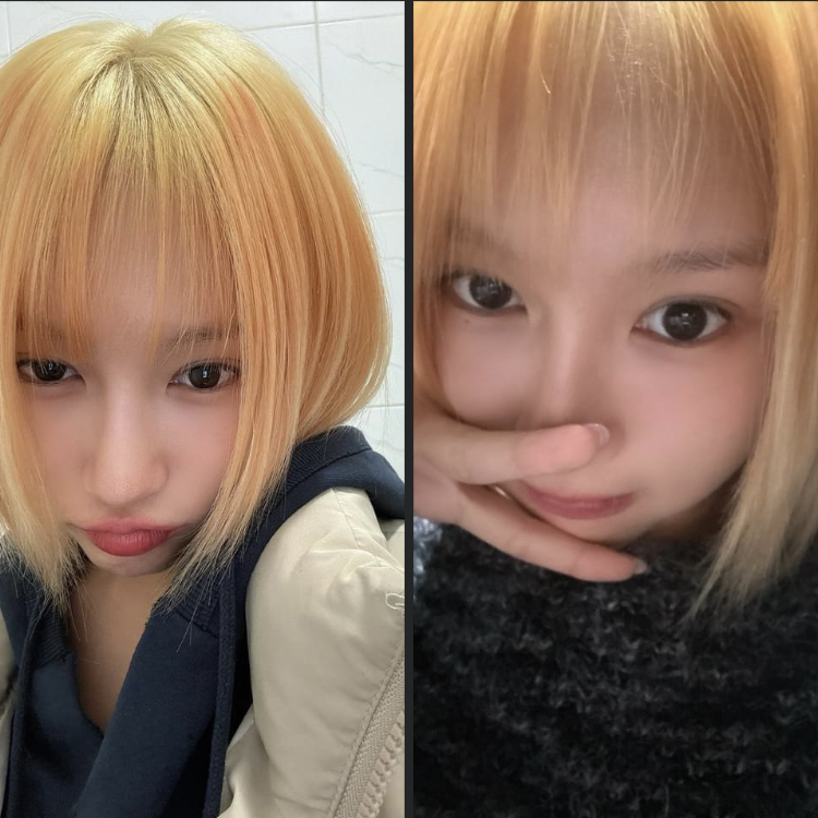 Latest photo of DREAMCATCHER