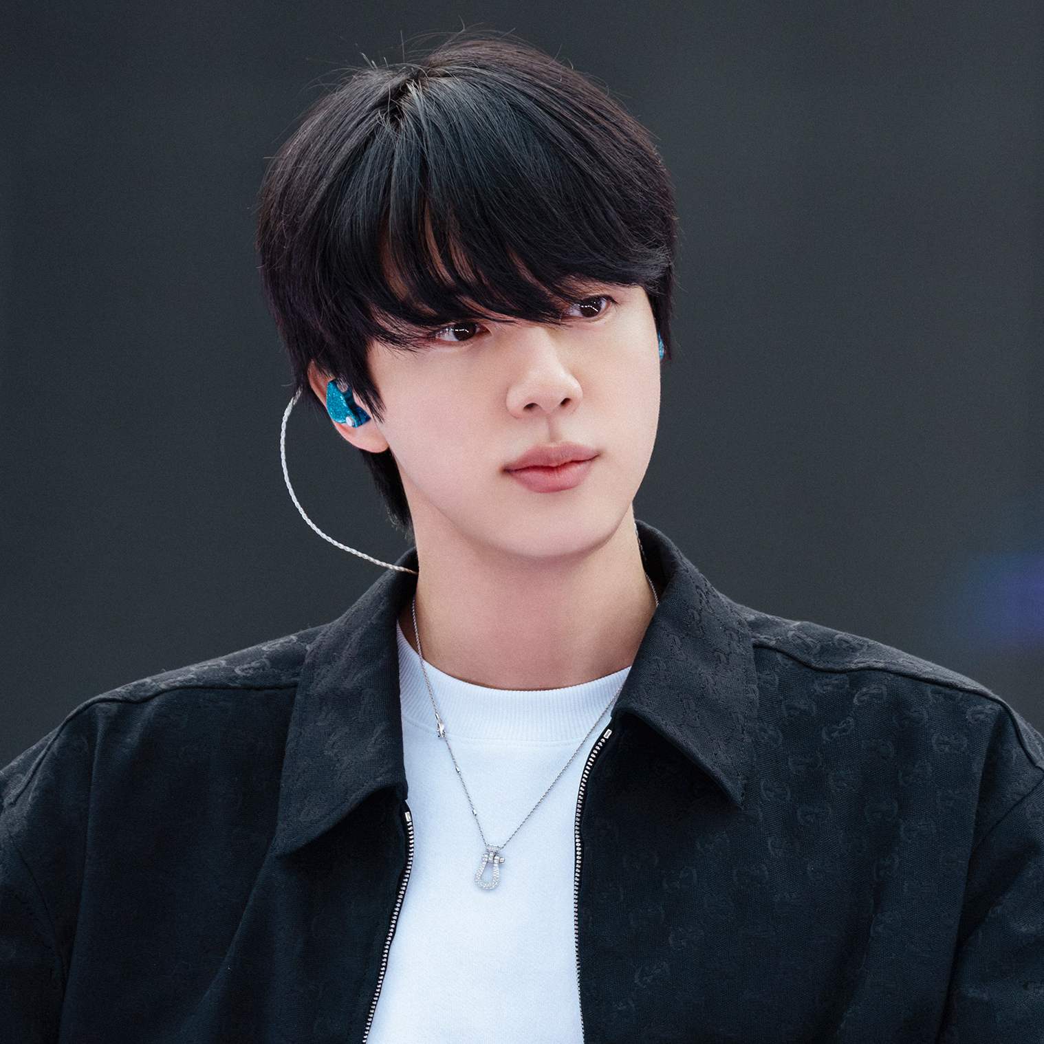 진 (방탄소년단) 팬이 찍은 순간