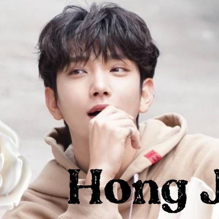 A moment captured by Joshua (SEVENTEEN)'s fan