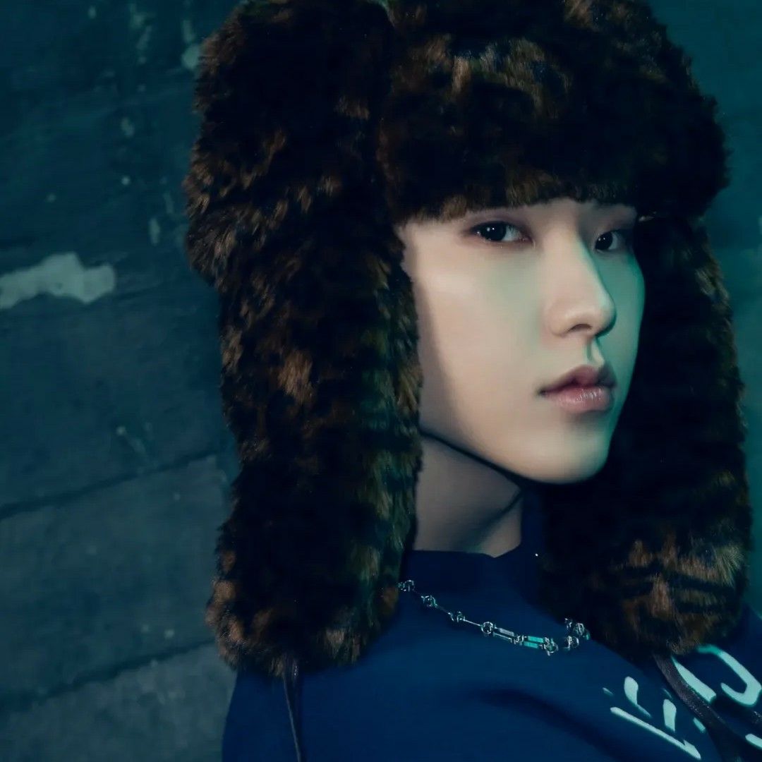 A moment captured by Hoshi (SEVENTEEN)'s fan