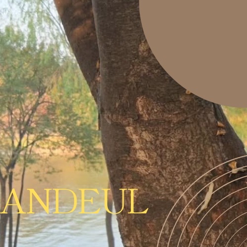 Recent activity shot of Sandeul (B1A4)