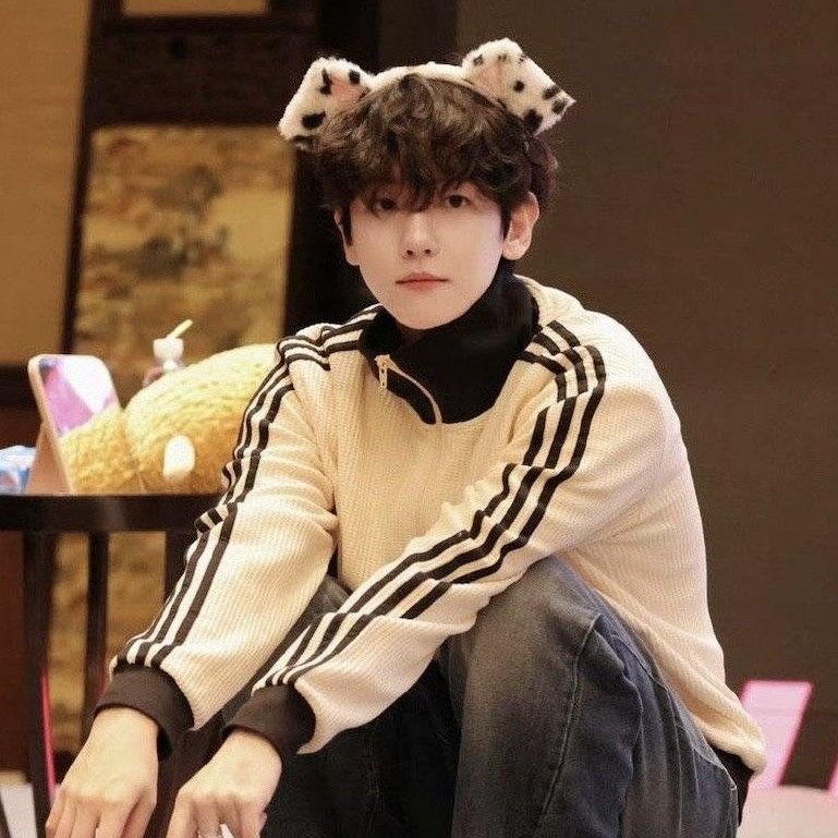 伯賢 (EXO)的幕後花絮