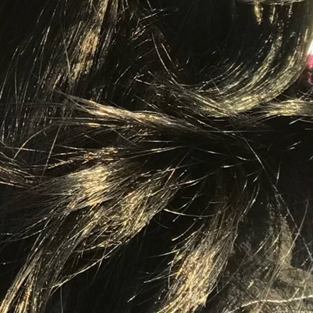 Recent activity shot of Go Won (Loossemble)