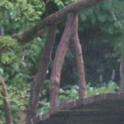 A moment captured by Dami (DREAMCATCHER)'s fan