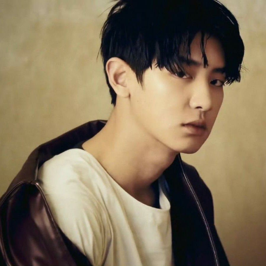 A moment captured by Chanyeol (EXO)'s fan