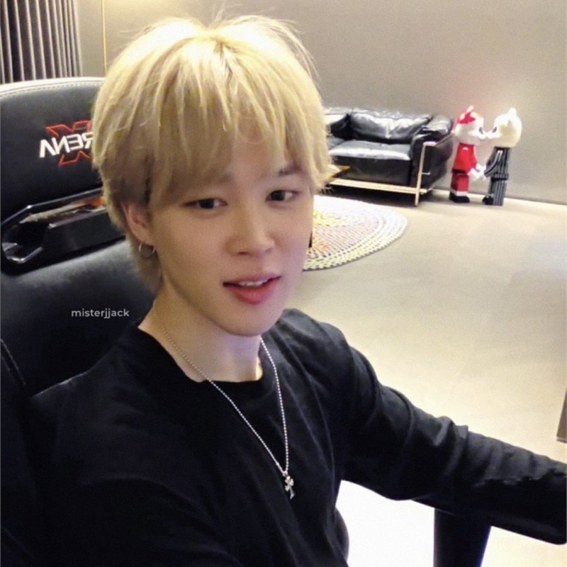 지민 (방탄소년단) 팬이 찍은 순간